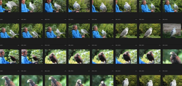 Working through the raw footage from the photoshoot